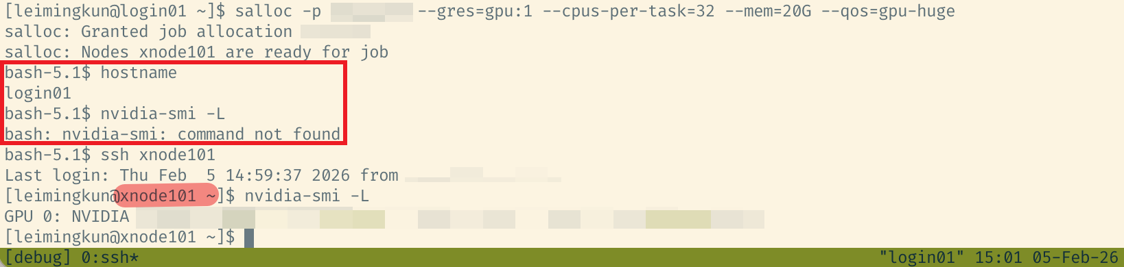 Figure 1. Debugging with salloc and a compute node